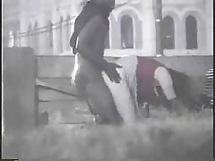 Gli errori da incorretta lesbiche