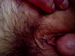 Eccitata bruna amy